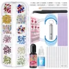 Set de fraises dentaires L