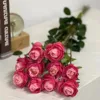 10 bulgarian rose