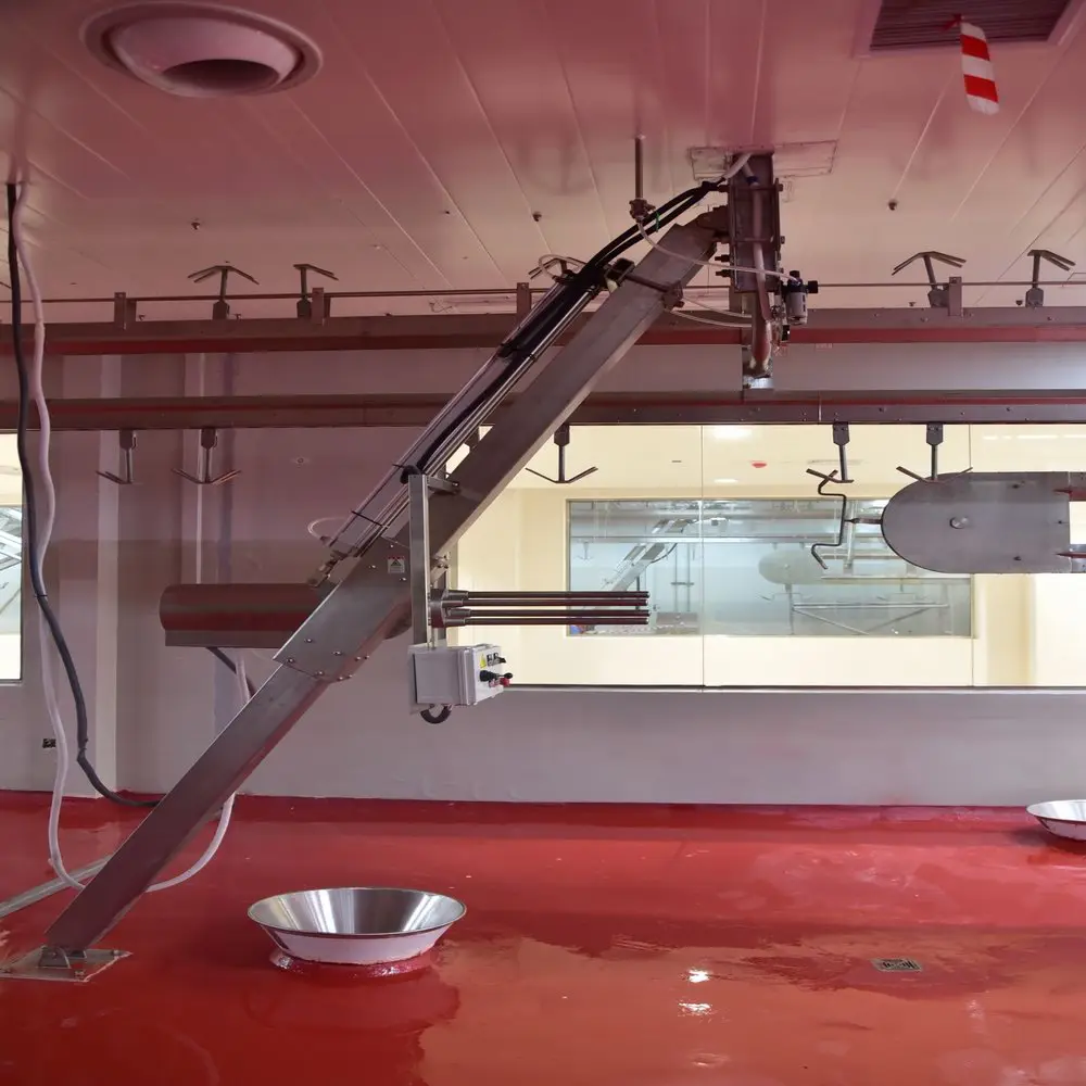 Complete halal mutton slaughtering equipment capable of processing 150 sheep per day, with cold storage, suitable for mutton slaughterhouses
