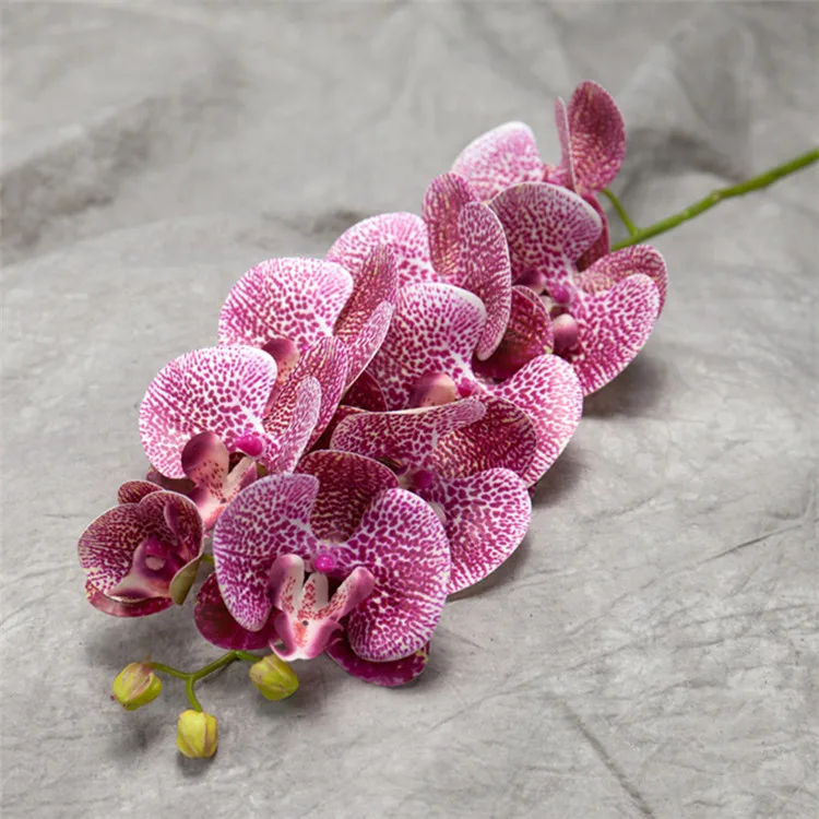 Cheap Wedding 9 Heads Real Touch Latex White Orchid Artificial For Arrangement Buy Orchid