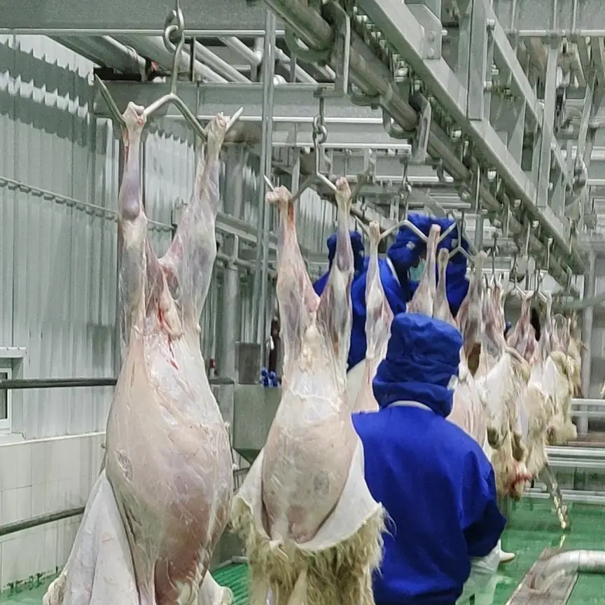 Fully automatic sheep and goat slaughtering line equipped with high-efficiency motor core components for mutton processing