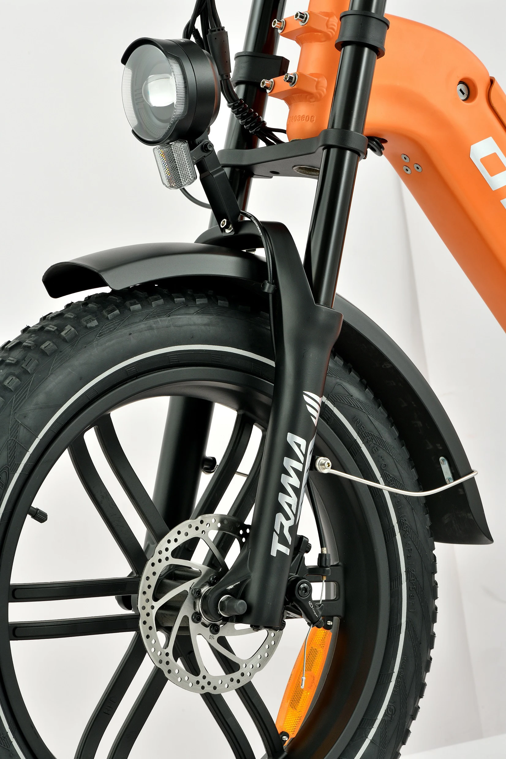 20inch Full Suspension Electric Bike 750w Motor Bicicletta Elettrica 