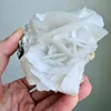 Calcite Rose Blanche