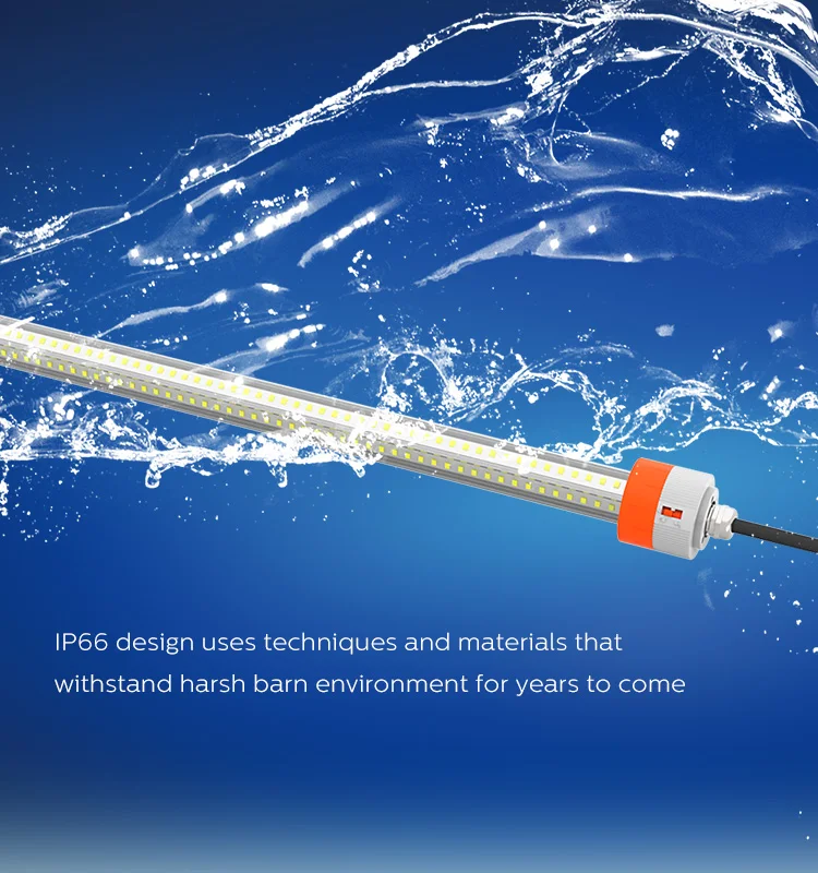 Антикоррозийное освещение IP66 для птицы, лампа для курицы