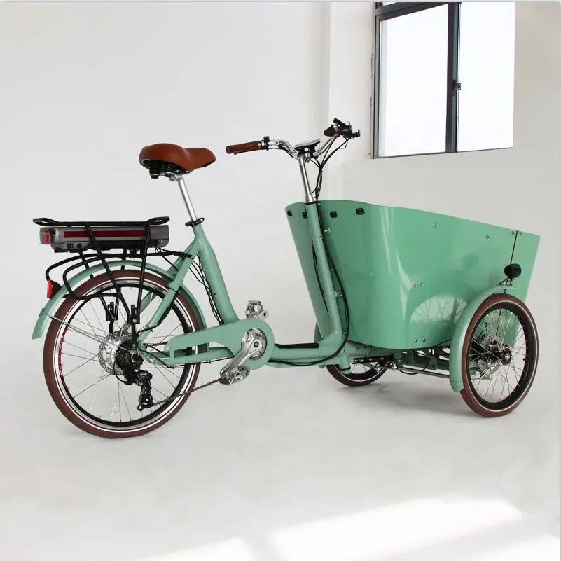 Electric 24''/26 inch 250w/350w/500w automatic balance device Child transport family cargo bike electric bike