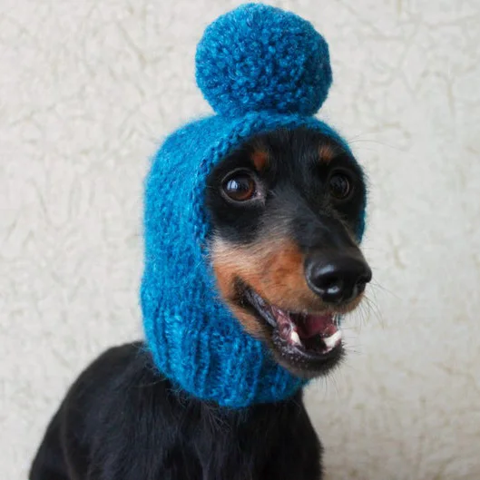 KNITTING PATTERN Small Dog Hat Mini Dachshund Hat Pet 