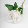 Bianco2