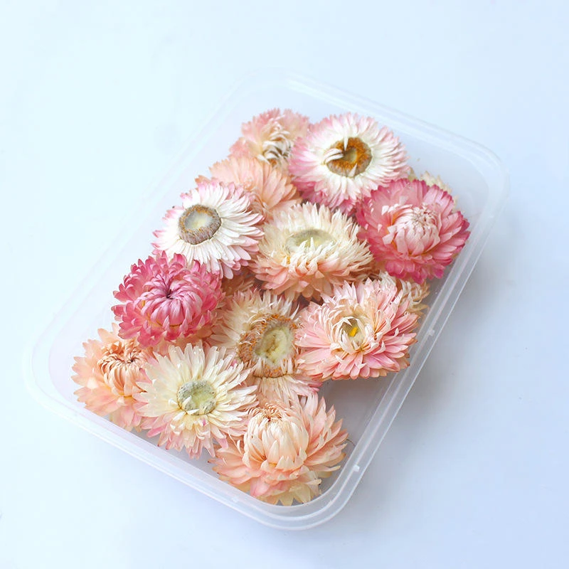 Dried Chrysanthemum - Wholesale Bulk & Private Label Hd2c97ac6031047ba9c50b0c89f63dd35D