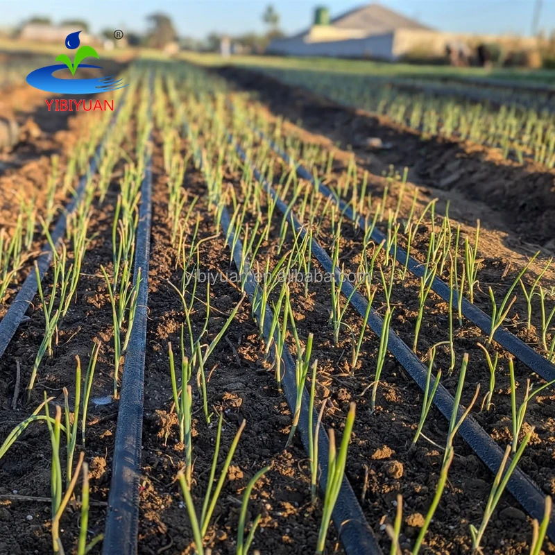 Plant Drip Irrigation Pipe Line Price Potato Irrigation System Agricola Cinta De Riego Por Goteo