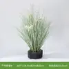 Roseau b herbe pure + muguet blanc