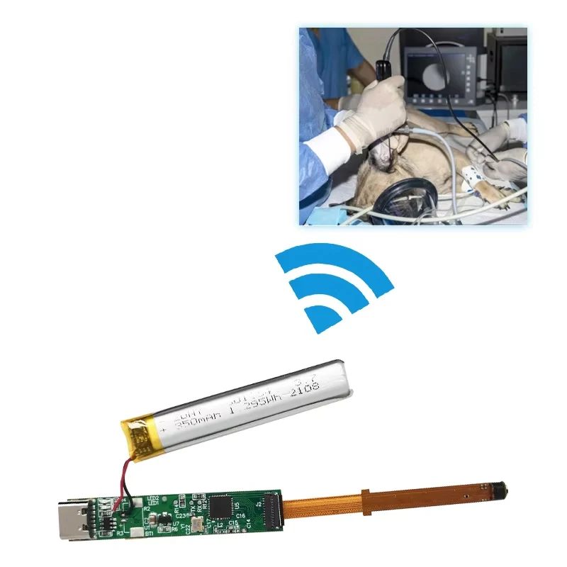 High Definition Micro Visual Otoscope Portable Ear Cleaning Wifi Industrial Endoscope Camera Module 30 Frame for Pet Treatment