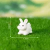 colorful Little Rabbit No. 1