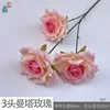 3-headed Manta Rose WY Pink