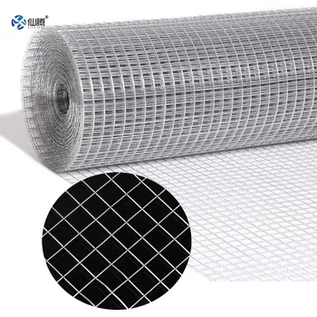 High Quality Galvanized Iron Wire Mesh Roll Customized Mesh Opening Galvanized Welded Wire Mesh for Animal and Plant Protection