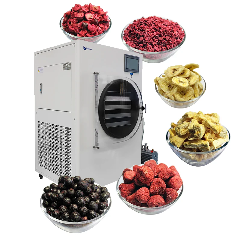 Hot Sales Vacuum Freeeze Dryer Strawberry Cucumber Kiwi Durian 50kg Freeze Dryer