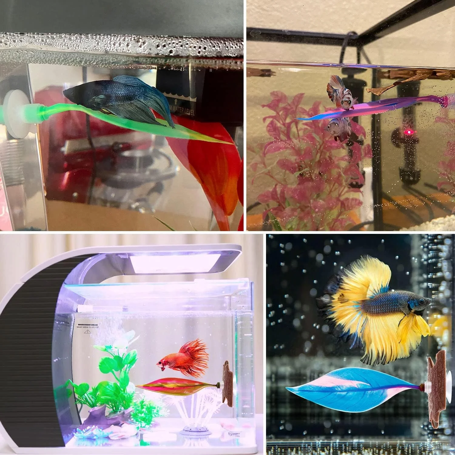 Colorful Silicone Betta Fish Leaf Pad Betta Hammock for Betta Fish to Rest  Fish Tank Decorations Aquarium Accessories