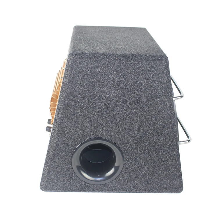 Skar Audio 10-Inch Trapezoidal Active Subwoofer with Dual Coils Paper Cone 6000W Best Subwoofer for Speakers DC 12V