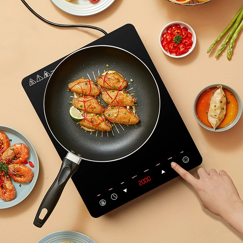 Induction Range Cooker Surya Induction Infrared Cooker