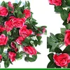 16 rojo rosa