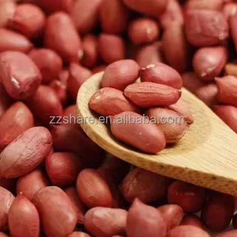 Small Peanut Shelling Machine Peanut Sheller Machine Philippines