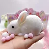 White Rabbit