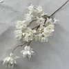 Blanc, Penang