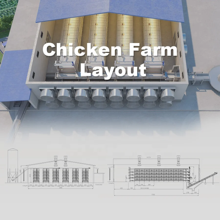 Poultry Farm H Type Automatic Bird Harvesting Battery Breeding Cages for Broiler Chicken