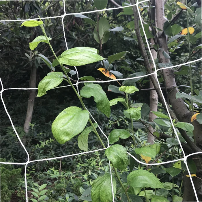 Сверхмощный сельское хозяйство ткань полиэстер нейлон шпалеры завода сетка для альпинистских