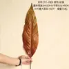 DY1-1869 Autumn Colors