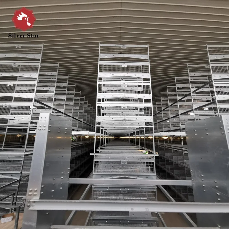 Automatic Poultry House Design Battery Cages for Layers