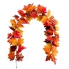 6-leaf cycle