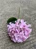8 # - single head Korean large hydrangea - purple