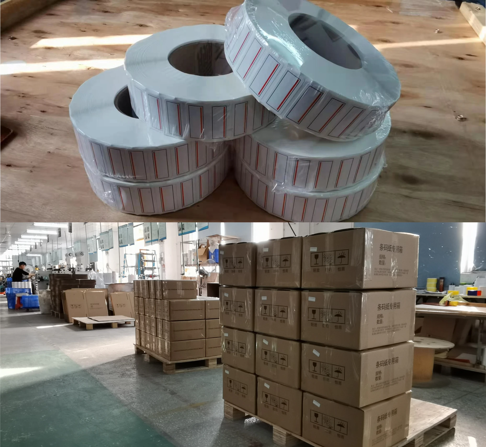 Dinghao Label Fsc Factory Custom Roll Eco Friendly Piggy Back Paper