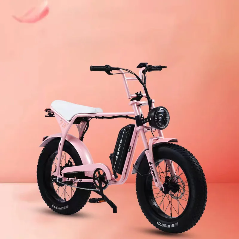 Fine 50km/h Speed Fat Tire Electric Bike With 48v13a Lithium Battery City And Off Road Electric