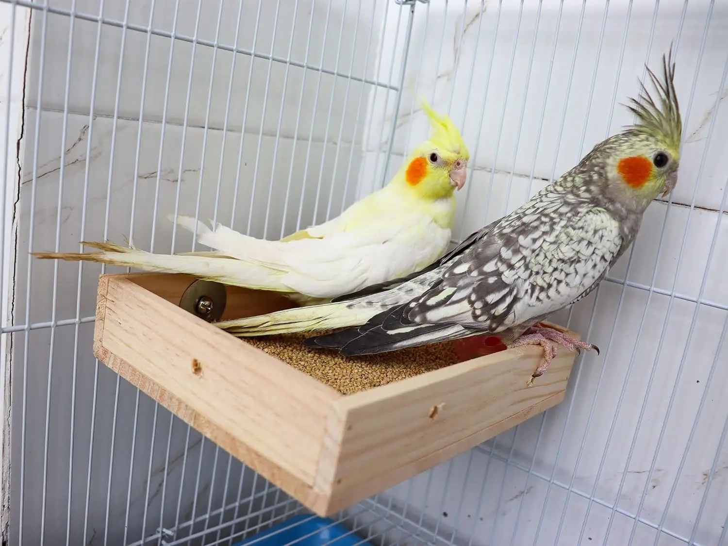 6-teiliges Vogelspielzeug Set Für Sittiche & Papageien – Mit Knabber- & Futterfunktion, Große Sitzstangen & Volierenzubehör Für Glückliche Vögel