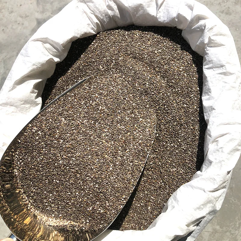China Factory Supply Chia Seeds Buy Chia Seed In Chinese,Bulk Chia
