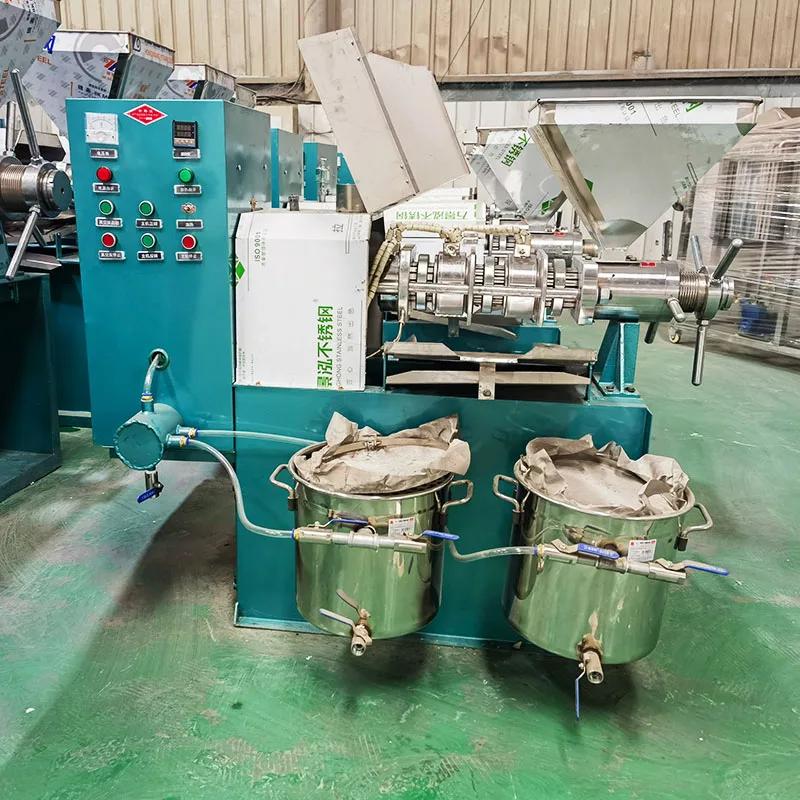 China Grape Seed Olive Oil Cold Extractor/ Oil Press Machine for Business  Second Hand Oil Press Machine