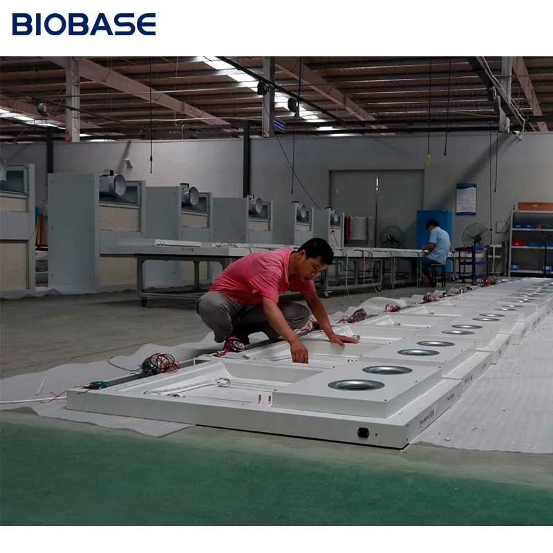 BIOBASE China Compounding Hood Laboratory Ductless Fume Hood Laminar Flow Cabinet