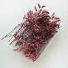 Erba di cristallo rosa (circa 10 grammi)