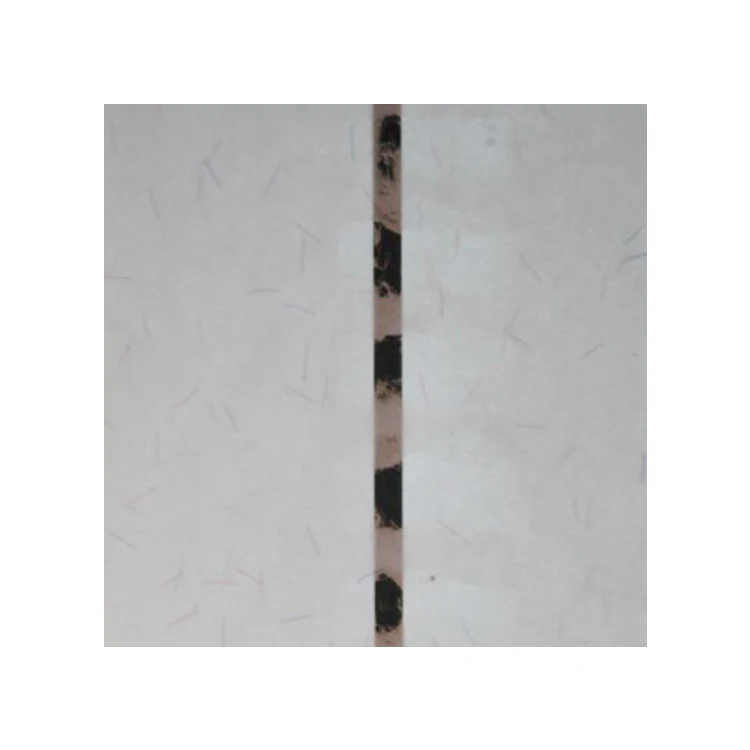 International Security Paper Water Mark Printing