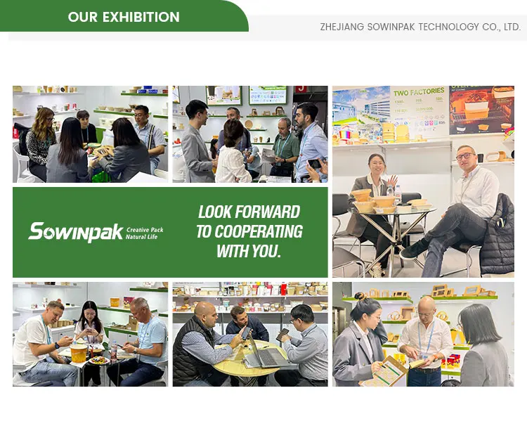 Custom Logo Eco-Friendly Sustainable Fast Food Packaging Container Disposable Takeout Kraft Paper Lunch Salad Bio Box supplier