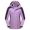 Violet-femelle A