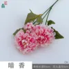 Fragancia oscura CM degradado rosa