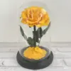 Fond noir jaune doré sans lampe avec boîte cadeau