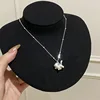 Plata lisa