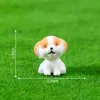 colorful Little Dog No. 6