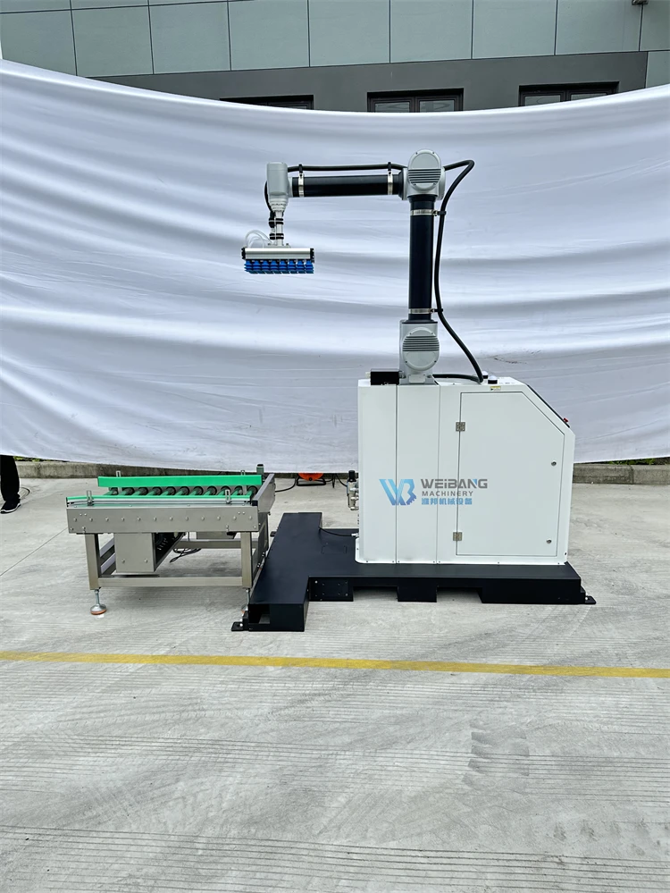 Hot Sale Intelligent Robot Automatic Cardboard Boxes Cartons Palletizing Robot Stacking Robot