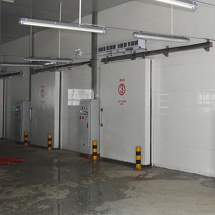 Commercial Custom Slaughtered Meat Explosion Freezer Beef Slaughterhouse