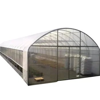 Agricultural Commercial Fruits Planting Single Tunnel Small Solar Heater Greenhouse Solar Dryer Polycarbonate Greenhouse