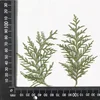 MH608 Natural Green